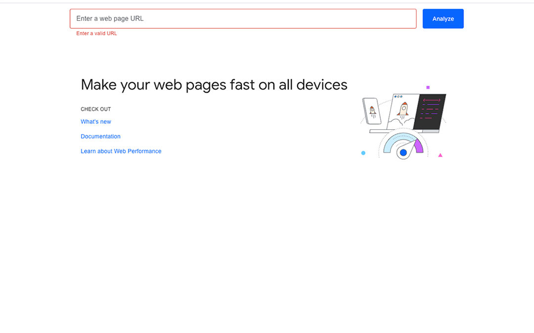 PAGE SPEED INSIGHTS